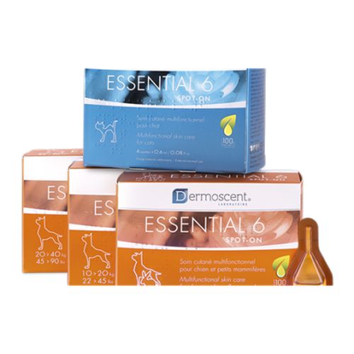 Essential 6® spot-on dog (20-40kg) - 2.4 ml (1 pipette) - MyStetho Veterinary