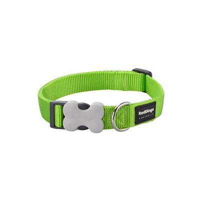 RedDingo Dog Collar Plain Lime Green L Classic Lime Green 25mm x 41-63cm - MyStetho Veterinary