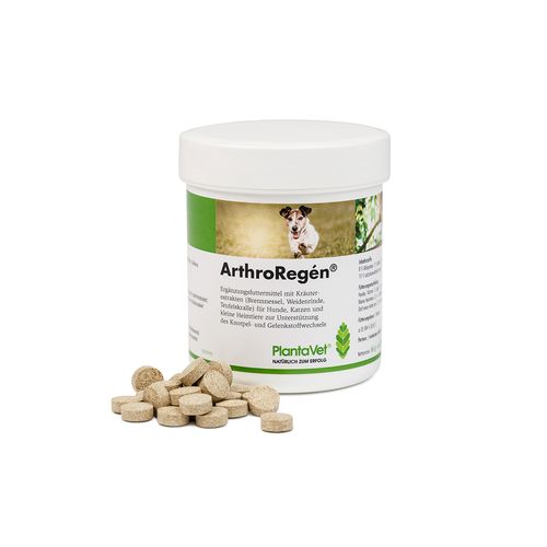ArthroRegén 300 compr. - MyStetho Veterinary