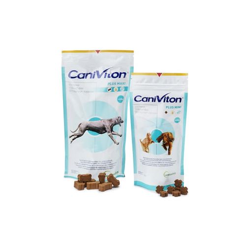 Caniviton Plus Mini 90 Chews - MyStetho Veterinary