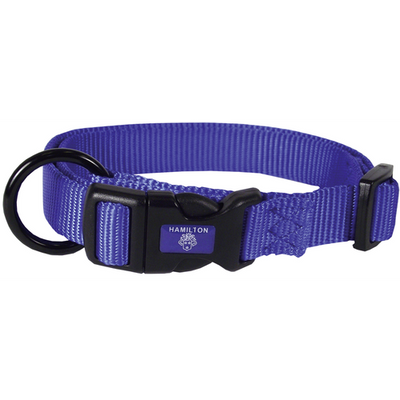 Collier pour chiens bleu 1.5 x 30 - 45 cm - MyStetho Veterinary