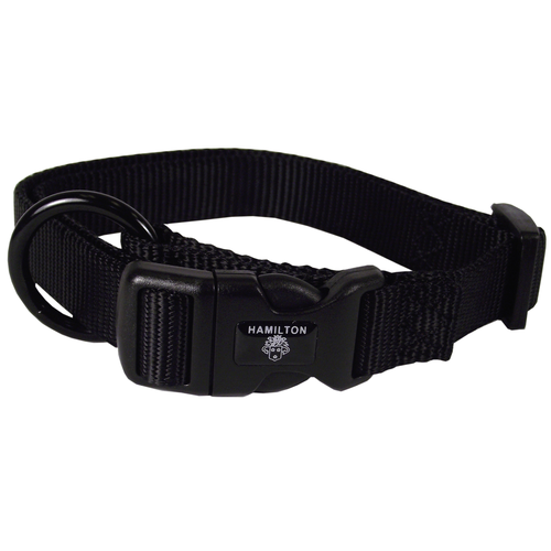 Collier pour chiens noir 2.5 x 45-65 cm - MyStetho Veterinary