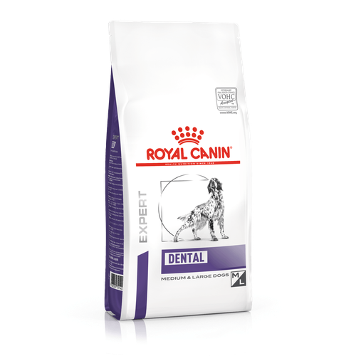 Royal Canin DENTAL MEDIUM & LARGE DOGS 6 kg - MyStetho Veterinary