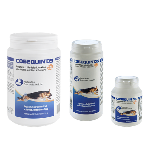 Cosequin DS HA+MSM (250 comprimé) - MyStetho Veterinary