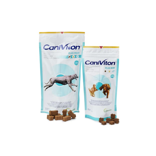 Caniviton Plus Mini 90 Chews - MyStetho Veterinary