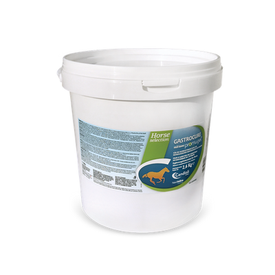 Gastrocure Kg 2.6 Concentré en poudre - MyStetho Veterinary