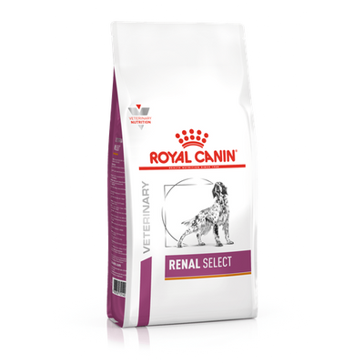 Royal Canin RENAL SELECT 2 kg - MyStetho Veterinary
