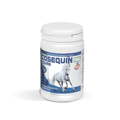 Cosequin Equine ASU+HA 700gr. Concentré en poudre - MyStetho Veterinary