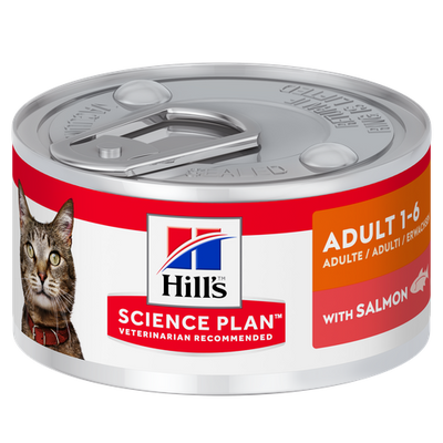 Hill's Science Plan Adult Salmon 82 g - MyStetho Veterinary