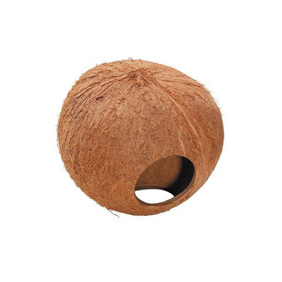 Boule noix de coco, 13 cm - MyStetho Veterinary