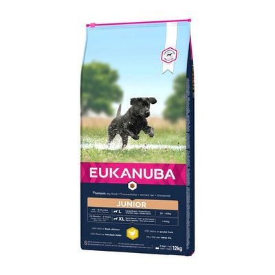 Eukanuba Junior Large - MyStetho Veterinary