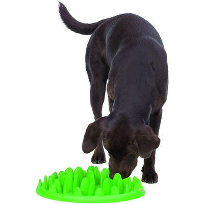 Green MINI Slow Feeder 29 x 22.5 x 7 cm - MyStetho Veterinary