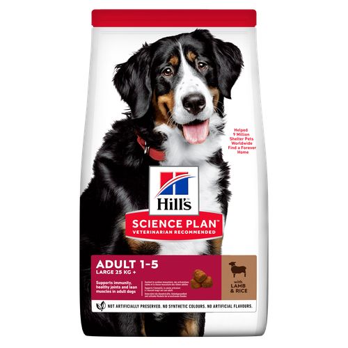 Hill's Science Plan Large Breed Adult Lamb and Rice 14 kg - MyStetho Veterinary