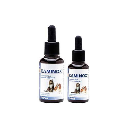KAMINOX - 60 ml - MyStetho Veterinary
