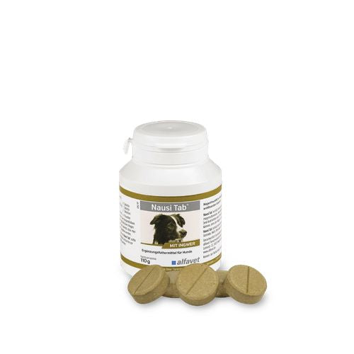 Nausi Tab pour chiens 1 comprimé (boite de 20 comprimés 110g) - MyStetho Veterinary