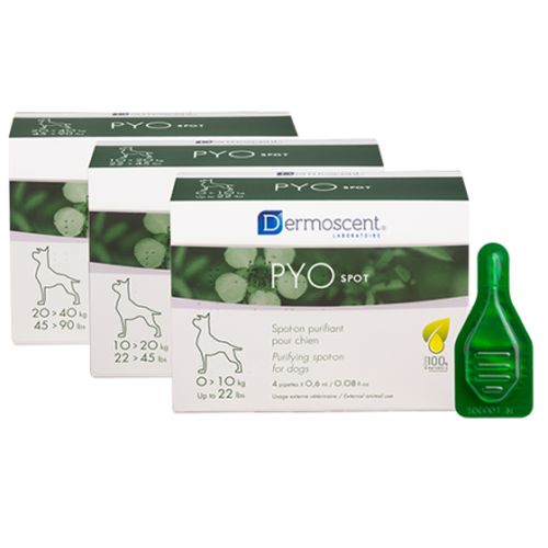 PYOspot® dog (-10kg) - 0.6 ml (1 pipette) - MyStetho Veterinary