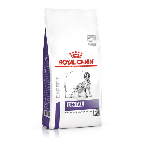 Royal Canin DENTAL MEDIUM & LARGE DOGS 6 kg - MyStetho Veterinary
