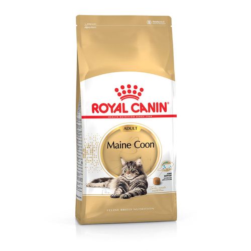 Royal Canin Maine Coon Adult 4 kg - MyStetho Veterinary