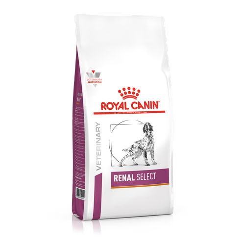 Royal Canin RENAL SELECT 10 kg - MyStetho Veterinary