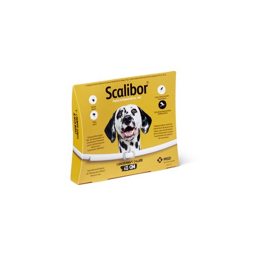 Scalibor® Protectorband 65cm - MyStetho Veterinary