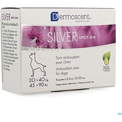 SILVER spot-on dog (20-40kg) - 2.4 ml (1 pipette) - MyStetho Veterinary