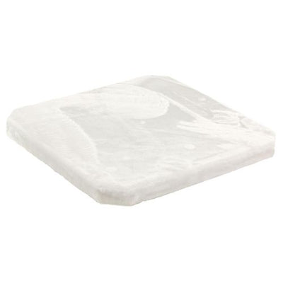 Swisspet Plaque de fond, 60x60x5cm, blanche - MyStetho Veterinary