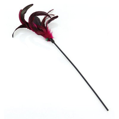 Swisspet plumeau Purplegame L=50cm - MyStetho Veterinary