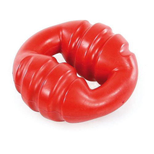 Swisspet Roof anneau, ø12.5x5.5cm - MyStetho Veterinary