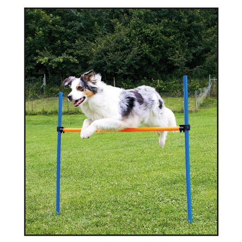 Swisspet set de haies d‘Agility - MyStetho Veterinary