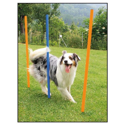 Swisspet set de slalom d‘Agility - MyStetho Veterinary