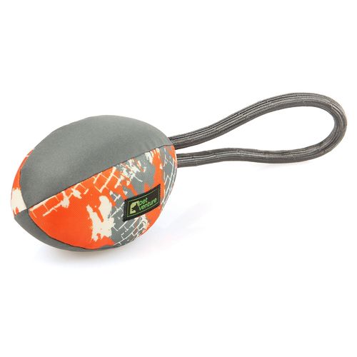 Swisspet Slide Football - MyStetho Veterinary