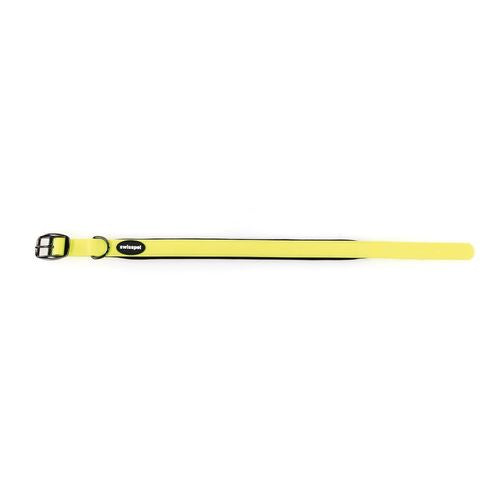 TrendLine Neon Halsband 15mm gelb 15/260-400mm - MyStetho Veterinary